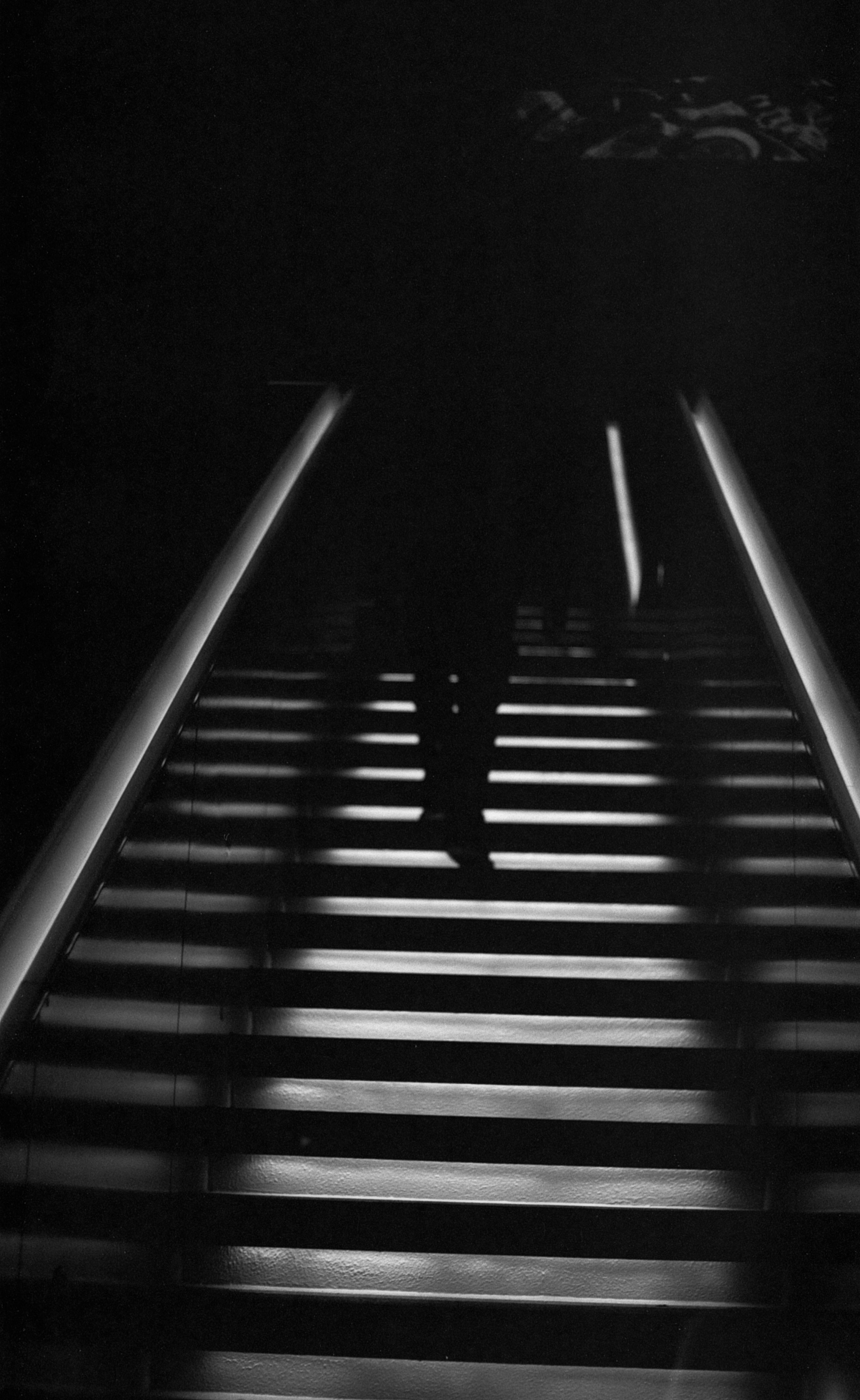 Contax G1 24